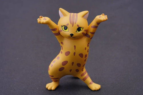 宠物猫怎么卖到日本呢