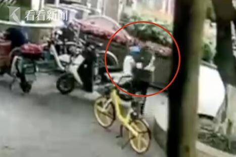 踏板车放宠物狗怎么放的