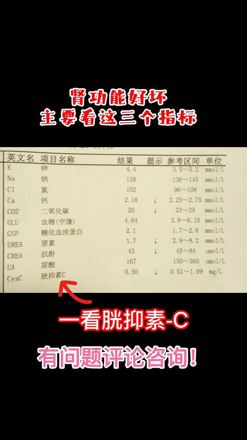 宠物狗化验单怎么看