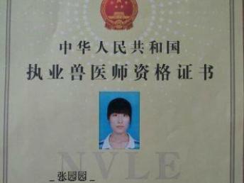 兽医宠物狗资格证怎么考
