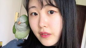 宠物狗跑不见了怎么办