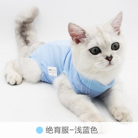 宠物猫衣服
