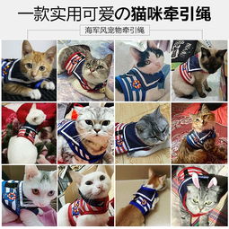 宠物猫牵引绳怎么用的啊