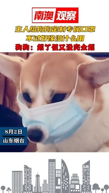 怎么做宠物狗口罩制作的