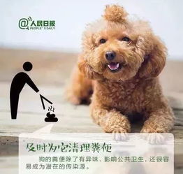 养宠物狗被咬伤怎么办