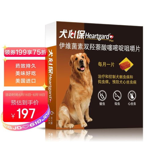 宠物狗的驱虫药怎么喂好