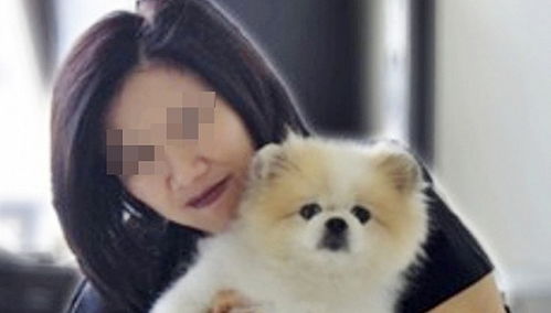 宠物狗怎么治疗病毒感染