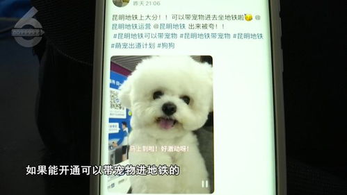宠物狗怎么带它坐地铁呢