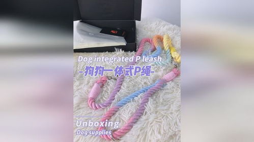 宠物狗出行套绳怎么套的