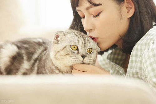 宠物狗猫怎么喂养好一点
