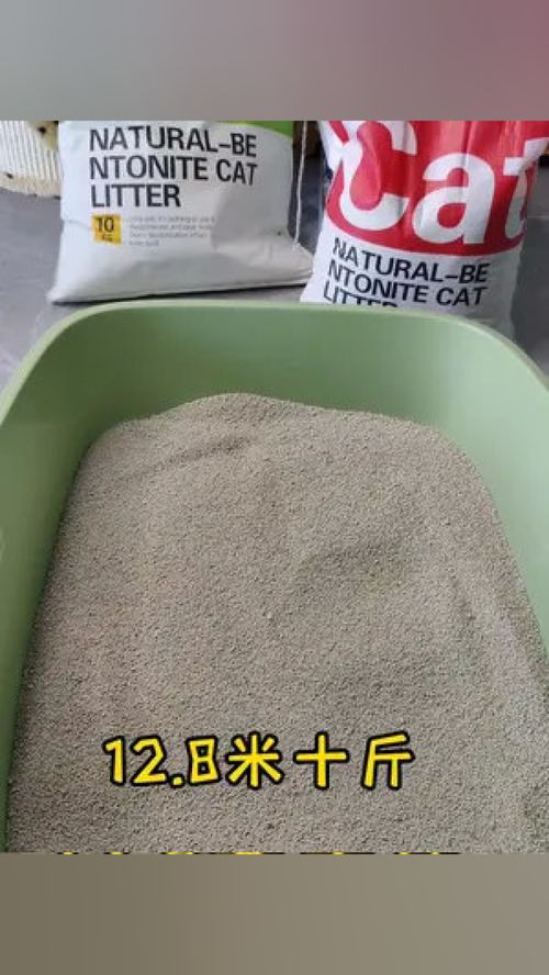 猫砂一个月用多少