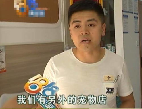 买了宠物猫想退怎么办呢