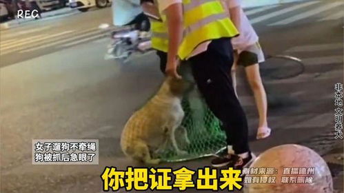 宠物狗不牵绳被抓怎么办