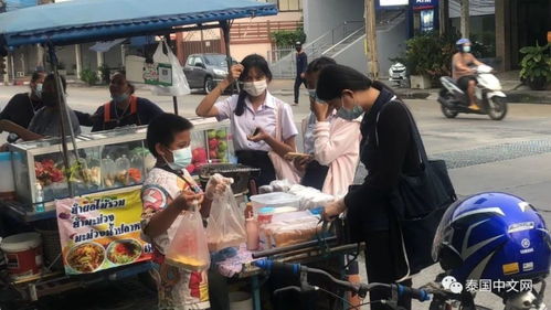 摆摊卖小宠物狗怎么样赚钱