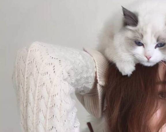 女孩怎么养宠物猫