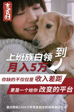 电商卖宠物狗怎么样的