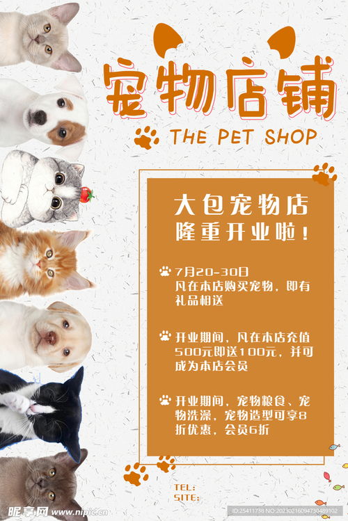 宠物猫狗店怎么设计