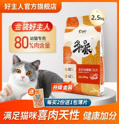 宠物猫价格标签怎么