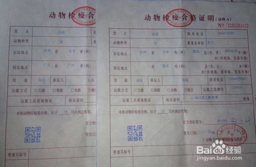 宠物狗的检疫证明怎么弄