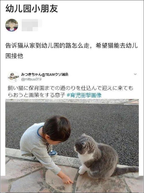 宠物猫怎么认路