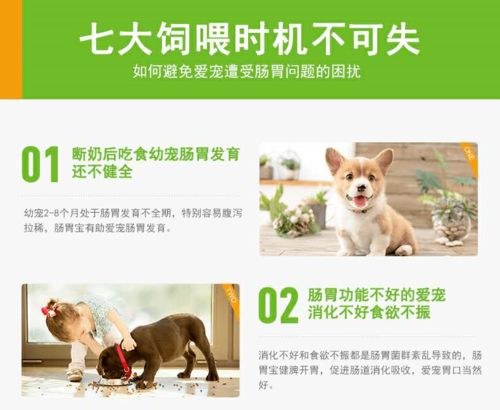宠物狗吐了怎么缓解一下