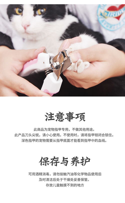 宠物狗剪指甲刀怎么用
