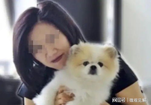 宠物狗确诊病毒怎么治疗