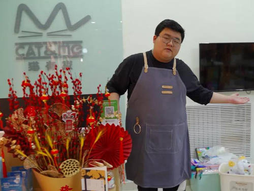 精品宠物猫店怎么开