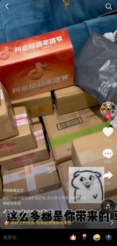在抖音上怎么买宠物狗呢