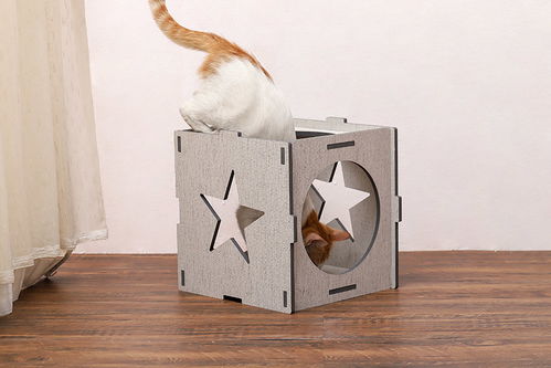 宠物猫窝怎么安排
