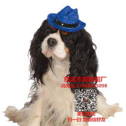宠物狗衣服和帽子怎么做