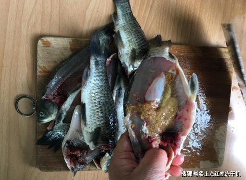 宠物狗冻干鱼怎么做的