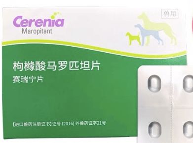 宠物狗坐车头晕怎么办啊