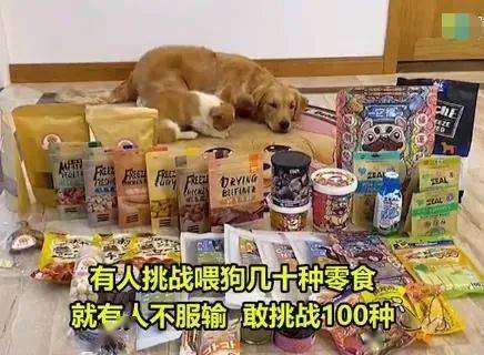 宠物狗吃的零食怎么做