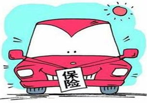 司机撞到宠物狗怎么办啊