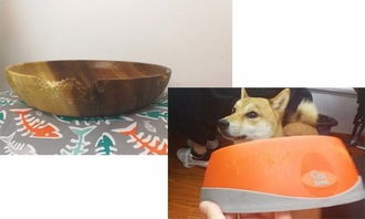 宠物狗的碗怎么做的