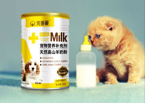 宠物猫羊奶粉怎么喂的好