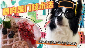 宠物狗吃瓜子会怎么样