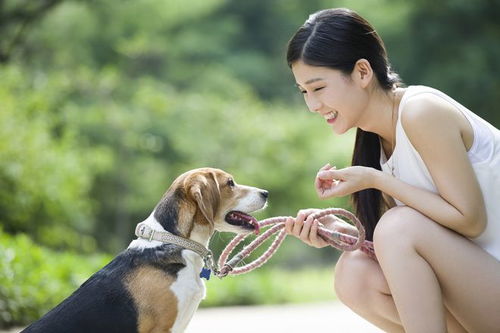 对宠物狗依赖怎么办呢