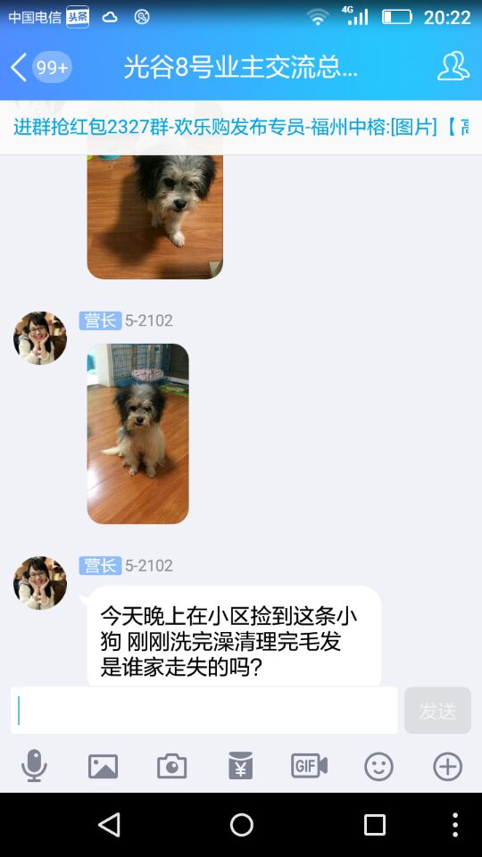 喝酒回家捡宠物狗怎么办