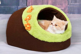 宠物猫窝怎么洗