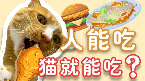宠物猫剩饭剩菜怎么办呀