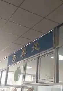 汽车站取宠物狗怎么取