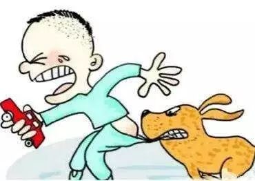 宠物狗怎么看出有狂犬病