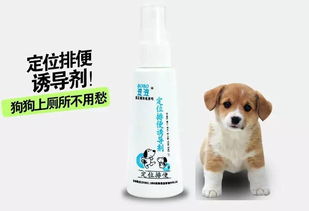 宠物狗大便诱导剂怎么用
