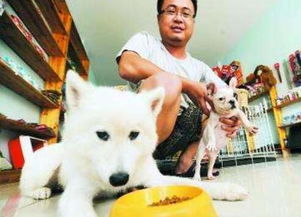 开宠物狗寄养店怎么样啊