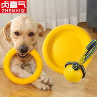 宠物狗训犬神器怎么用的