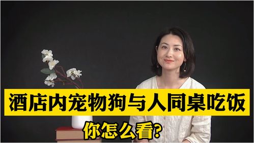 宠物狗同桌吃饭怎么办啊
