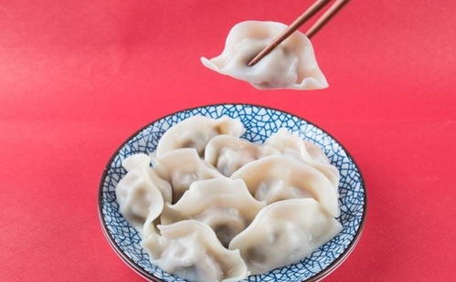 宠物狗饺子怎么做的好吃