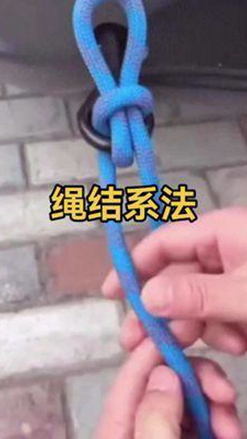 宠物狗的绳结怎么绑的紧